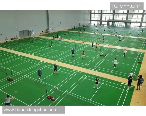 西安羽毛球队技术实力强劲荣登全国第四名引发关注