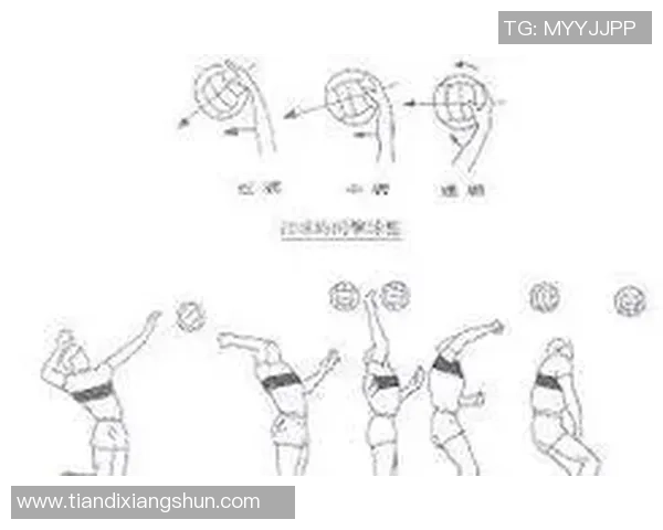 深圳排球队的包夹战术解析与深度剖析排球比赛中的团队协作与策略运用