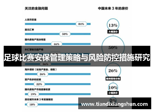 足球比赛安保管理策略与风险防控措施研究